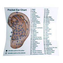 Angled Curved Ear and Body Point Probe Stimulator Acupressure BONUS Pocket Ear Chart and Pouch